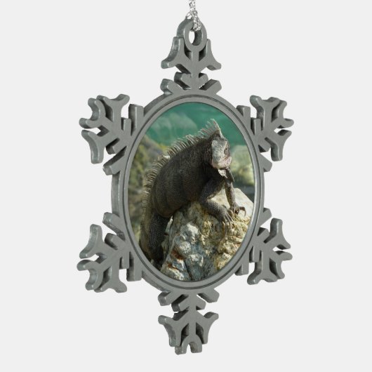 Iguana op de Rocks in St. Thomas Tin Sneeuwvlok Ornament (Links)