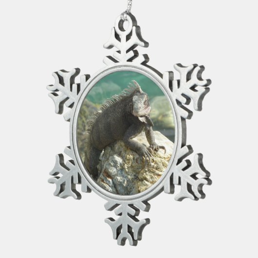 Iguana op de Rocks in St. Thomas Tin Sneeuwvlok Ornament (Rechts)