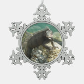 Iguana op de Rocks in St. Thomas Tin Sneeuwvlok Ornament (Voorkant)