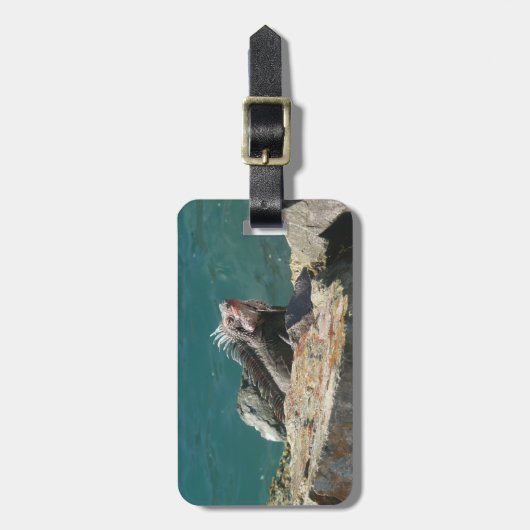 Iguana op St. Thomas Bagagelabel (Voorkant verticaal)