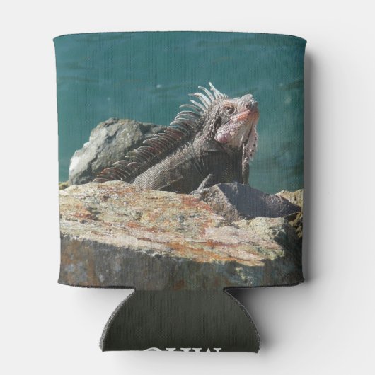 Iguana op St. Thomas Blikjeskoeler (Achterkant)