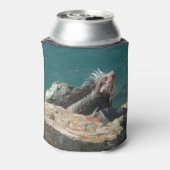 Iguana op St. Thomas Blikjeskoeler (Blikje Achterkant)