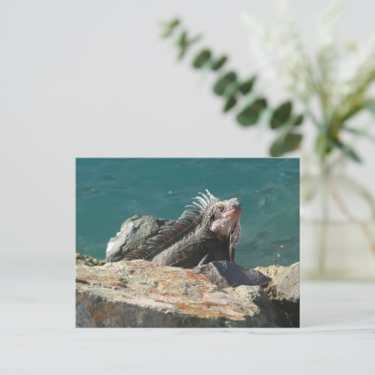 Iguana op St. Thomas Briefkaart (Staand voorkant)