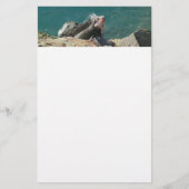 Iguana op St. Thomas Briefpapier (Voorkant)