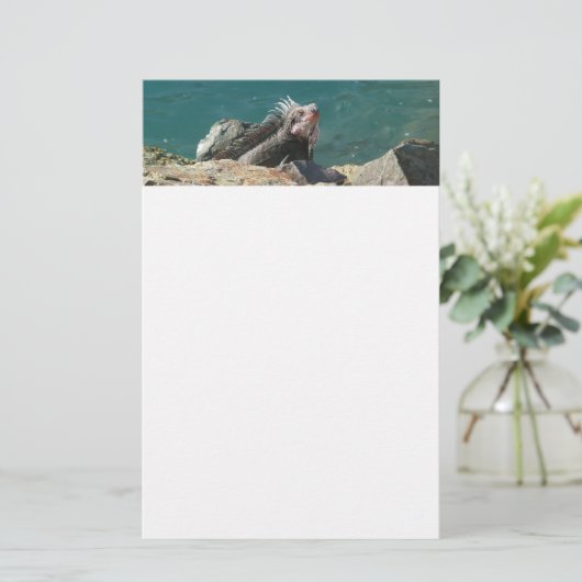 Iguana op St. Thomas Briefpapier (Staand voorkant)