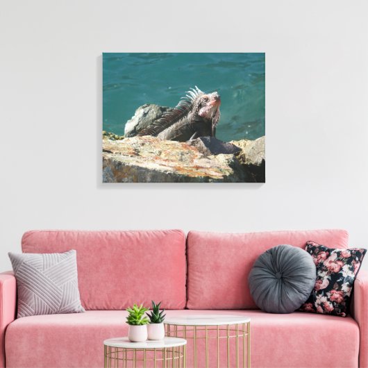 Iguana op St. Thomas Canvas Afdruk (Insitu (Woonkamer))