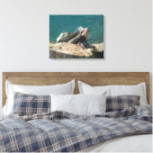 Iguana op St. Thomas Canvas Afdruk (Insitu (Slaapkamer))