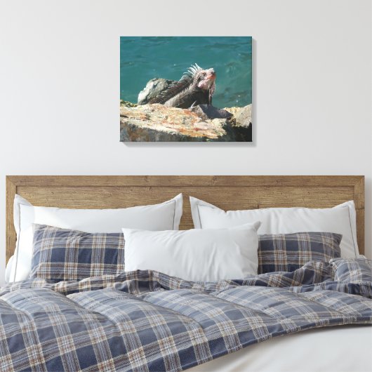 Iguana op St. Thomas Canvas Afdruk (Insitu (Slaapkamer))