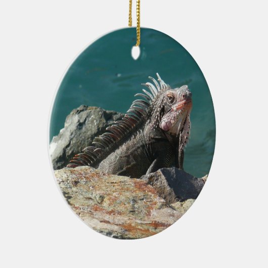 Iguana op St. Thomas Keramisch Ornament (Rechts)