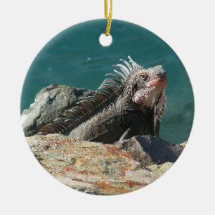 Iguana op St. Thomas Keramisch Ornament