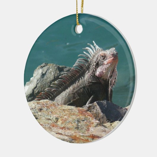 Iguana op St. Thomas Keramisch Ornament (Links)