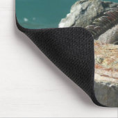 Iguana op St. Thomas Muismat (Hoek)