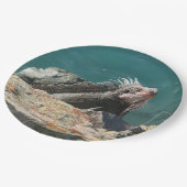 Iguana op St. Thomas Papieren Bordje (Gekanteld)