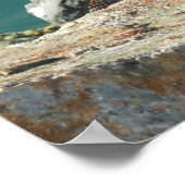 Iguana op St. Thomas Poster (Hoek)