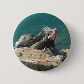 Iguana op St. Thomas Ronde Button 5,7 Cm (Voorkant)