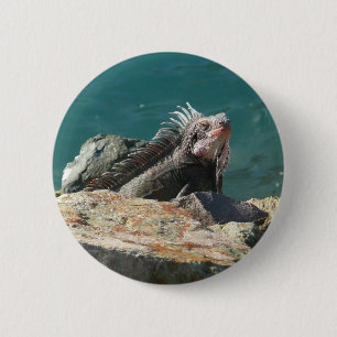 Iguana op St. Thomas Ronde Button 5,7 Cm