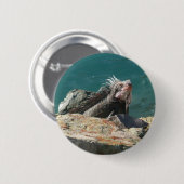 Iguana op St. Thomas Ronde Button 5,7 Cm (Voorkant /achterkant)