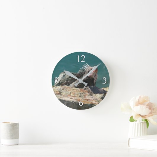 Iguana op St. Thomas Ronde Klok (Huis)