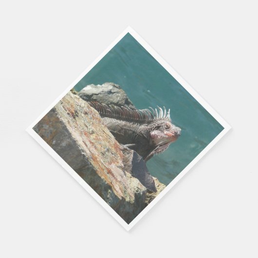 Iguana op St. Thomas Servet (Hoek)