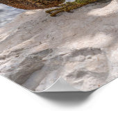 Iguana op Stone Poster (Hoek)