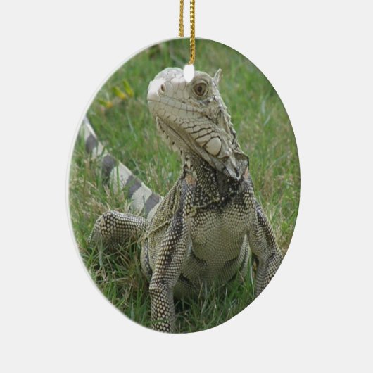 Iguana Ornament (Rechts)