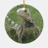 Iguana Ornament (Voorkant)
