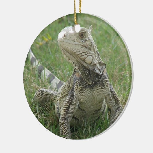 Iguana Ornament (Links)