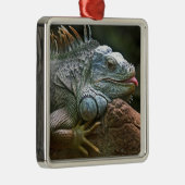 Iguana ornament (Rechts)