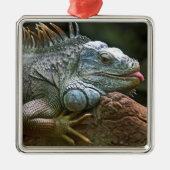 Iguana ornament (Voorkant)
