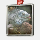 Iguana ornament (Links)