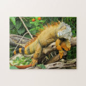 Iguana pet legpuzzel (Horizontaal)