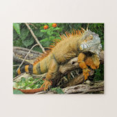 Iguana Photo Puzzle Legpuzzel (Horizontaal)