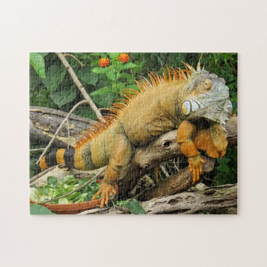 Iguana Photo Puzzle Legpuzzel (Horizontaal)