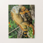 Iguana Photo Puzzle Legpuzzel (Verticaal)