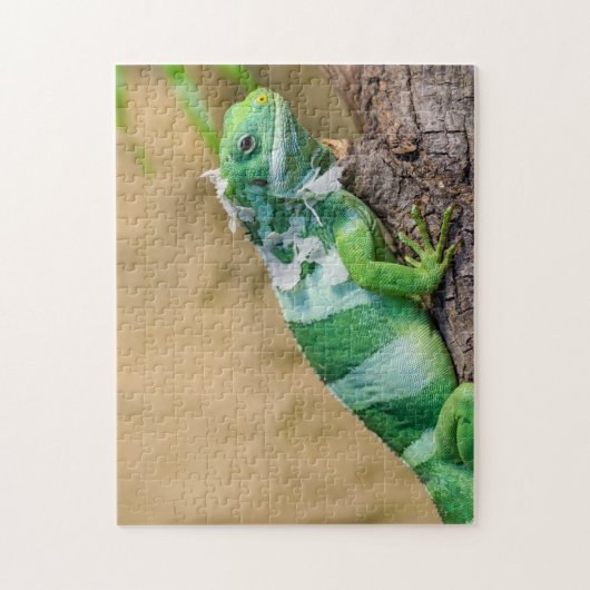 Iguana Photo Puzzle Legpuzzel (Verticaal)