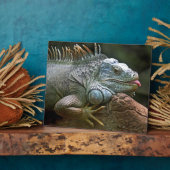 Iguana plaque fotoplaat (Zijkant)