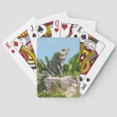 Iguana Pokerkaarten (Achterkant)