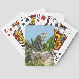 Iguana Pokerkaarten