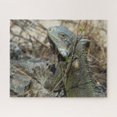 Iguana Posing on Rock for Camera Legpuzzel (Horizontaal)