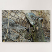 Iguana Posing on Rock for Camera Legpuzzel (Horizontaal)