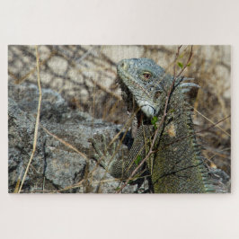 Iguana Posing on Rock for Camera Legpuzzel