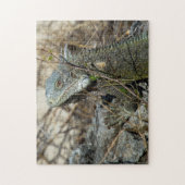 Iguana Posing on Rock for Camera Legpuzzel (Verticaal)
