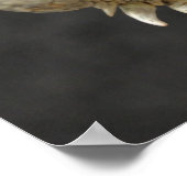 iguana poster (Hoek)