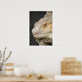 iguana poster (Keuken)