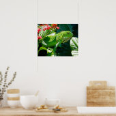 Iguana Poster (Keuken)
