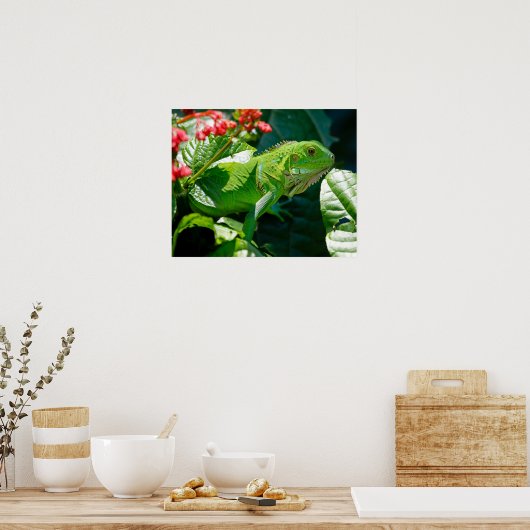 Iguana Poster (Keuken)
