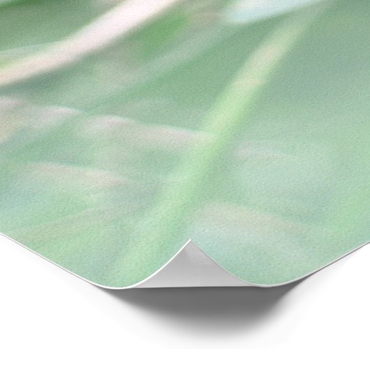 Iguana Poster (Hoek)