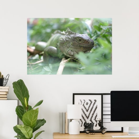 Iguana Poster (Thuiskantoor)