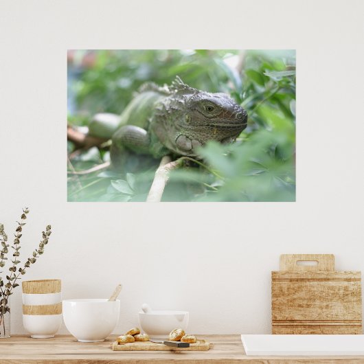 Iguana Poster (Keuken)