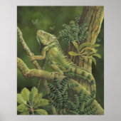 Iguana Poster (Voorkant)